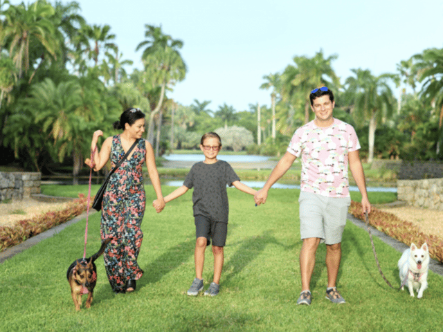 Things to Do: Bacon & BBQ Classic at Fairchild Tropical Botanic Garden in Coral Gables