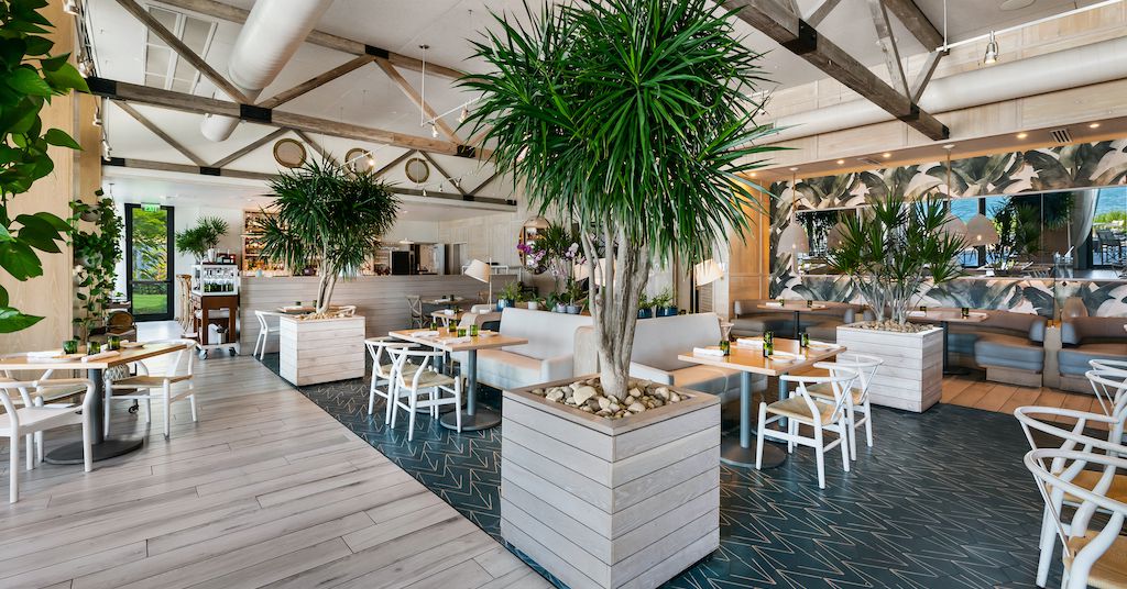 The Best Midtown and Edgewater Restaurants